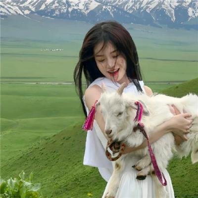 带轮子的家第四季